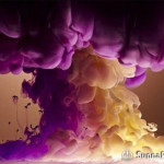 Шейх Зейд Мадхали: Дозволено ли хвалить заблудших, чтобы смягчить их к призыву?