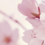 slider-bg-pink