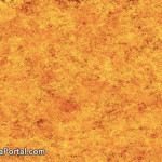 Шейх Усаймин: Как Солнце приблизится к людям в Судный день?