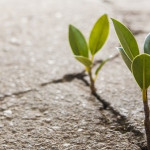 Кто красивее и выше в Раю: праведная мусульманка или райская гурия?