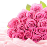 Шейх Ибн Баз: Как благочестивой мусульманке выбрать своего спутника жизни?