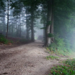 Шейх Усаймин: Что такое нововведение (бид'а)