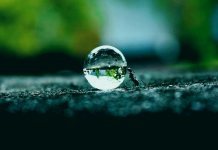 Муравей совершает тяжелую работу