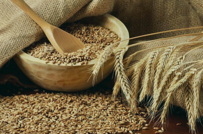Пшеница - один из продуктов для закята фитр