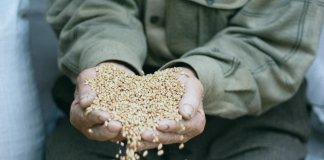 Зерна, которыми дается закят фитр - а можно ли давать деньгами?