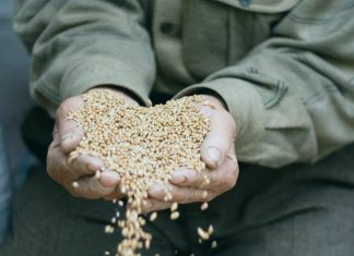 Зерна, которыми дается закят фитр - а можно ли давать деньгами?
