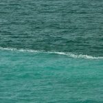 Хидр и Муса встретились в месте слияния двух морей
