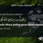 (ВИДЕО) Как проявляется истинная благодарность Аллаху? — Шейх Халид Зафири