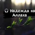 Надежда на Аллаха
