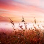 Назидание супружеской паре