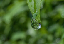 Какие условия протирания платка, который завязан или обмотан на голове — Шейх Арафат Мухаммади