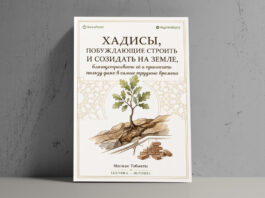 Хадисы, побуждающие строить и созидать на земле, благоустраивать её и приносить пользу даже в самые трудные времена